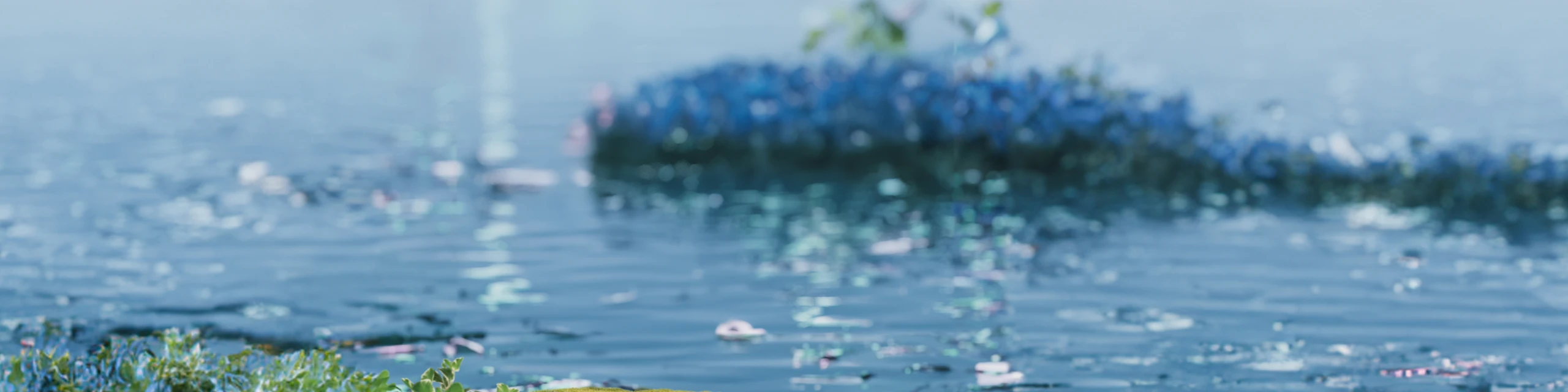 Chinese Ingredient: HiMurchaSin