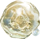 Chinese Ingredient: HiMurchaSin