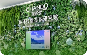 Himalaya Esthetic Institute Established