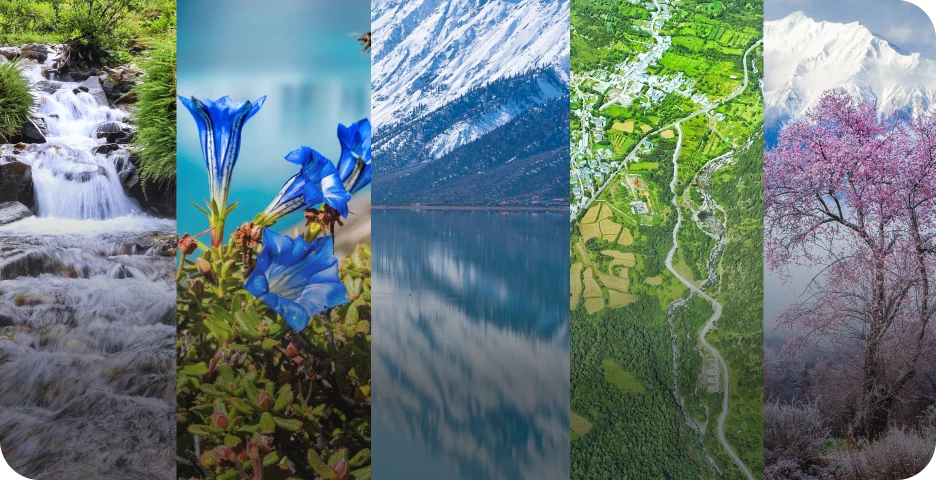 Raw Materials Screening and Development Platform