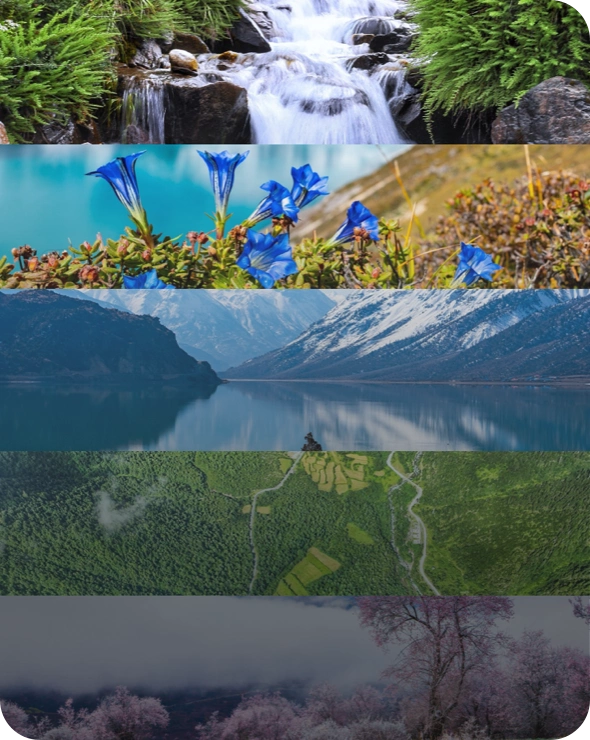 Raw Materials Screening and Development Platform