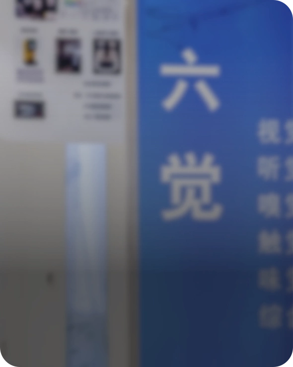 Six Senses and Six Standards Evaluation platform